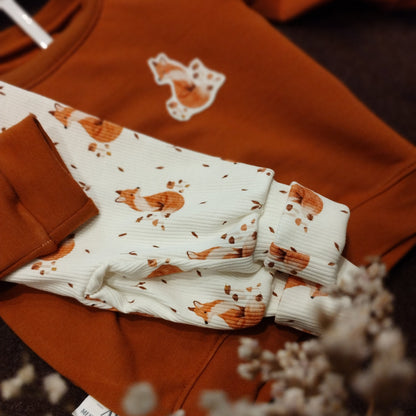 Newborn Set - little fox